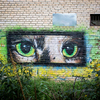 Кошачьи глаза в районе Покровского парка — newsvl.ru