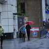 Дождь начался во Владивостоке около 08.00 — newsvl.ru
