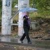Синоптики предупреждали о стихии заранее, поэтому некоторые горожане уже с утра захватили с собой зонты — newsvl.ru