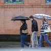 Утренний дождь застал горожан в пути на работу — newsvl.ru