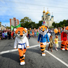 "Тигры" сопровождали малышей — newsvl.ru