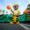 Колонну вели аниматоры в костюмах тигров — newsvl.ru