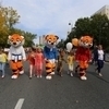 Колонна тигров, тигриц и тигрят двинулась по главной артерии Владивостока — newsvl.ru