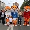 Впереди пешей колонны поставили трёх аниматоров в костюмах тигров. Затруднились уточнить, какую организацию представляют, говорят: "Просто работаем один день" — newsvl.ru