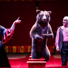 Танцующие и поющие медведи от дрессировщиков Арутюновых — newsvl.ru