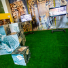 Экспозиции от центра "Амурский тигр" — newsvl.ru