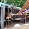 Работники зоопарка кормят медведя, который несколько дней провел в холодной грунтовой воде в клетке — newsvl.ru
