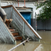 Операция по спасению животных в затопленном зоопарке «Зеленый остров» началась в понедельник, 31 августа, в Уссурийске — newsvl.ru