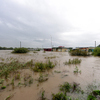Затопленными оказались поля, покосы, населенные пункты — newsvl.ru