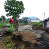  В Партизанске из-за циклона размыло дороги и повалило деревья — newsvl.ru