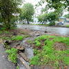 Вышедшая из русла река фактически блокировала вход в дома местному населению, размыв дороги и тропинки — newsvl.ru