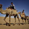 Практически все путешественники, попадая в пустыню, первым делом спешат прокатиться на верблюде — newsvl.ru