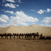 Туристам предлагают проехаться по Шелковому пути на верблюдах — newsvl.ru