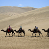 Верблюжьи караваны курсируют между барханов — newsvl.ru