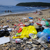 Пляж в районе бухты Щитовая превратился в помойку — newsvl.ru