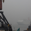 В порт Владивосток зашел один из самых известных круизный лайнеров "Мечта океана" — newsvl.ru