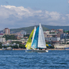 Яхтсмены прошли испытание жарой и штилем — newsvl.ru