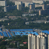 Синие крыши - рынок на Спортивной — newsvl.ru