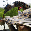 В городе есть крупнейший в Китае парк павлинов, где можно сделать селфи с диковинными птицами  — newsvl.ru