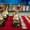 Традиционный турнир по современному панкратиону на Кубок мэра Хабаровска состоится завтра, 6 июня, в «Платинум Арене» — newsvl.ru