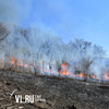 Шесть лесных пожаров ликвидировали в Приморье в воскресенье