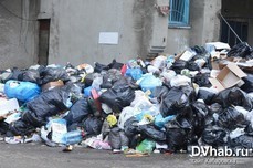 Самый грязный: жалобы на мусор чаще всего оставляют жители Кировского района на сайте DVhab.ru