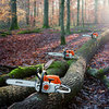  STIHL     