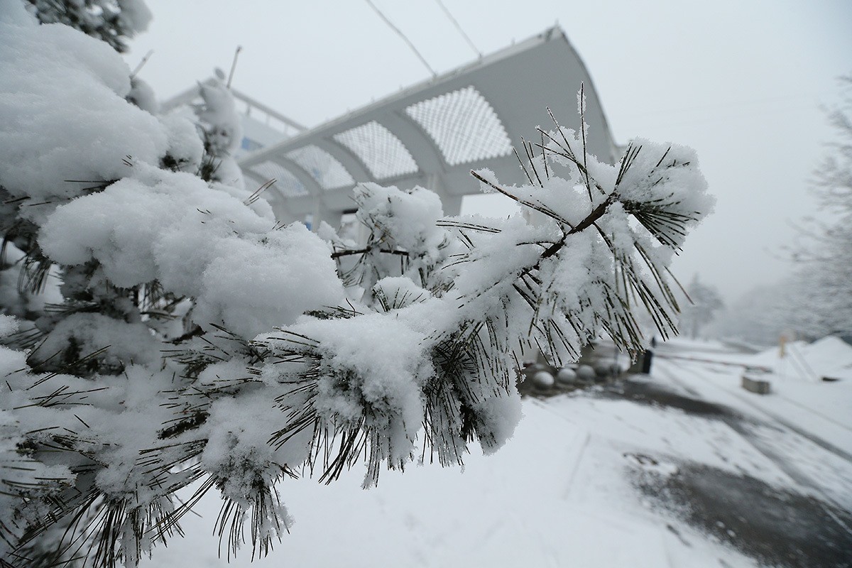 Хабаровске выпал снег. Ураган Хабаровский край зимой. Когда выпадет снег в Николаевске-на-Амуре.