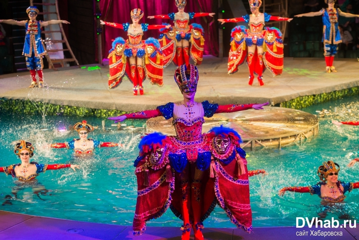 Цирк водное шоу. Цирк на воде. "цирк". Шевченко шоу цирк на воде отзывы. Бассейн в цирке.