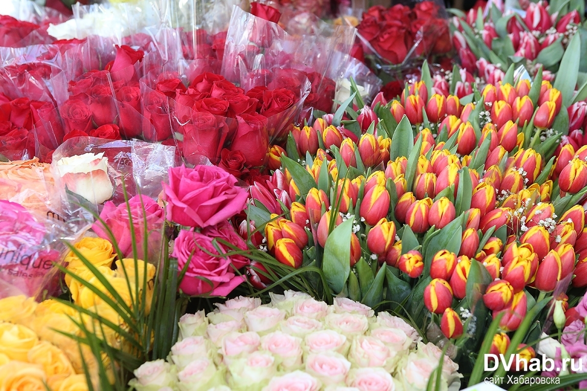 Сколько стоят тюльпаны на рынке. Дорого ли стоят тюльпаны. Сколько стоят тюльпаны в п Шушенское.