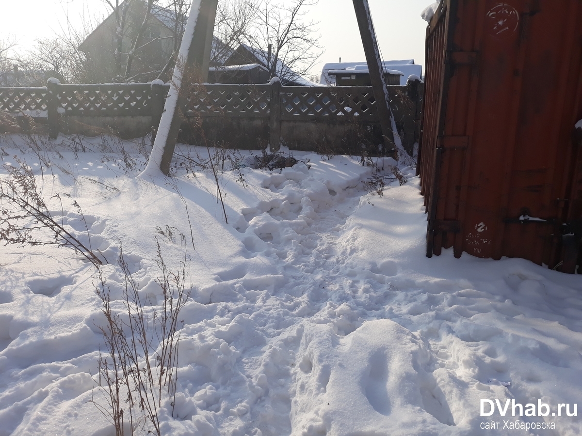 Слепая бабушка насмерть замерзла возле своего дома в пригороде Хабаровска  (ФОТО) — Новости Хабаровска