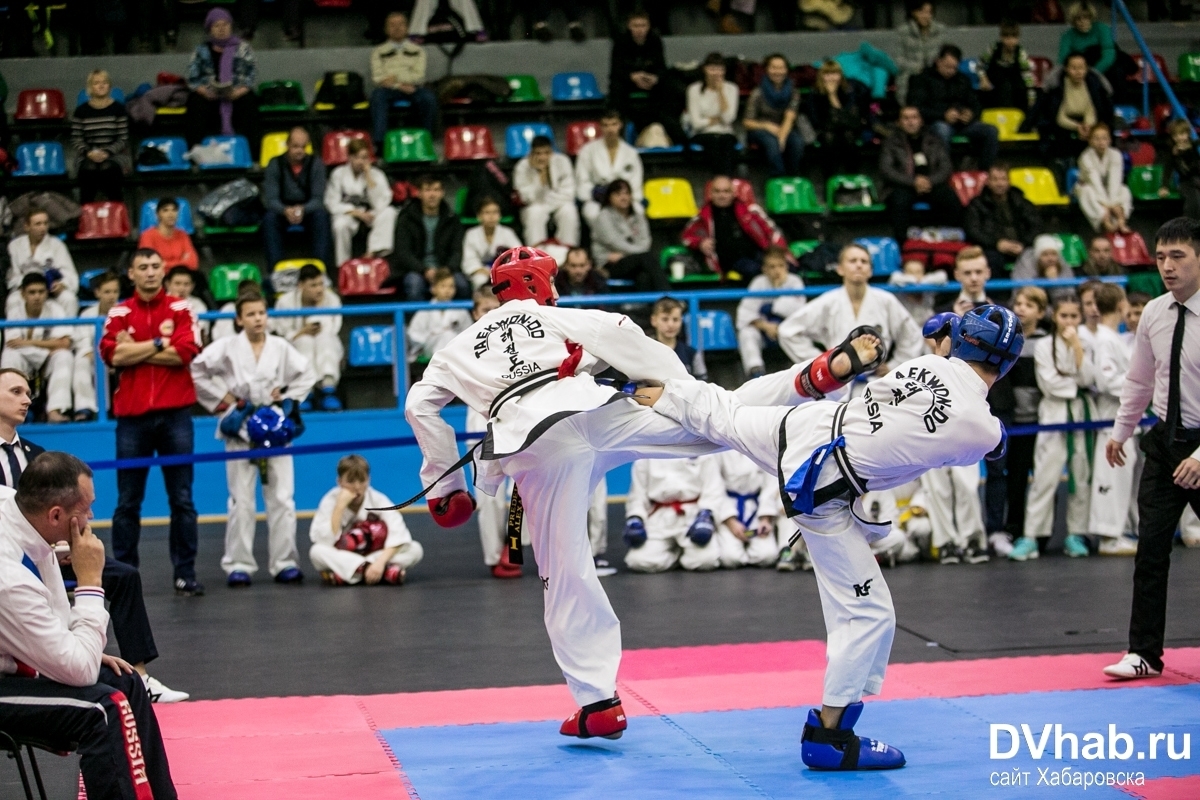 тхэквондо спарринг дети. тхэквондо мфт итф. тхэквондо ткд мфт. федерация тхэквондо россии мфт логотип. федерация тхэквондо мфт курган.