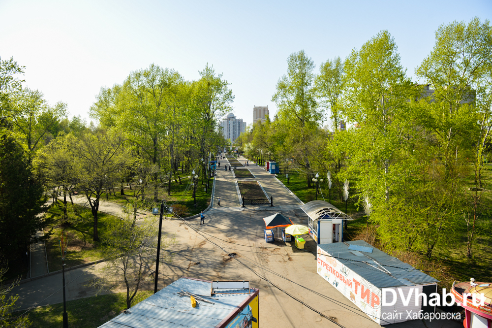Парке динамо в хабаровске