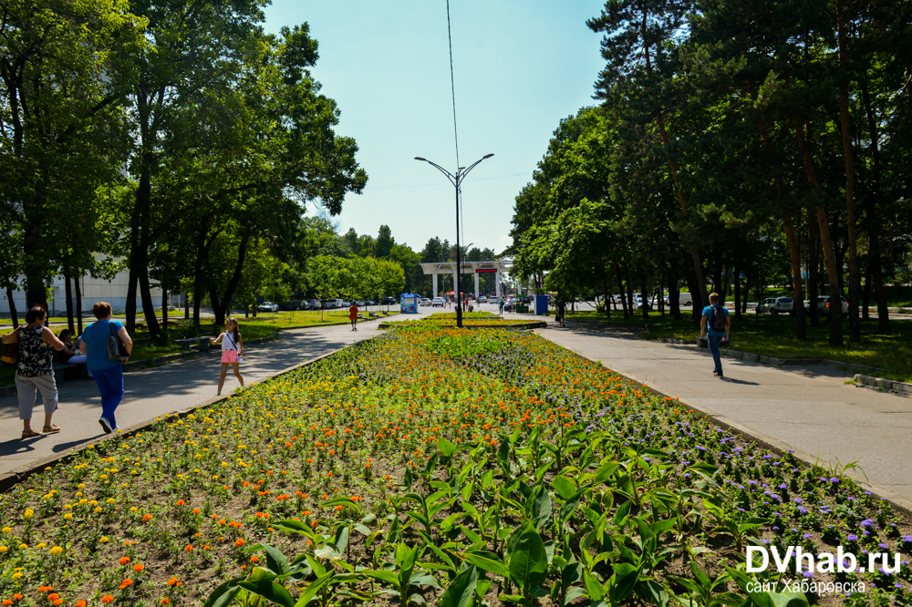 Амурский бульвар. Бульвары. Городской тротуар. Хабаровск погода летом. Хабаровск летняя погода.