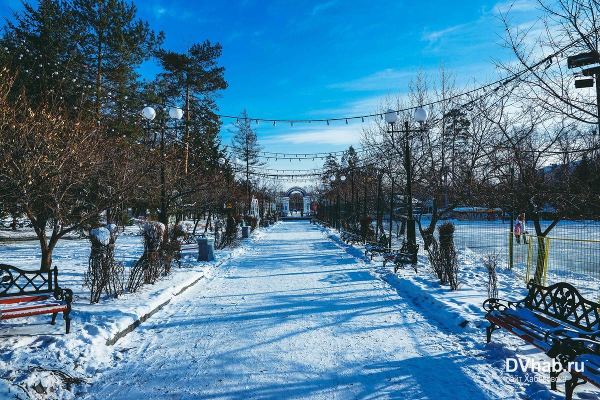 Хабаровск температура. Лавита парк Гайдара. Хабаровск погоди парк. Хабаровск погода зимой. Фото парка Гайдара зимой.