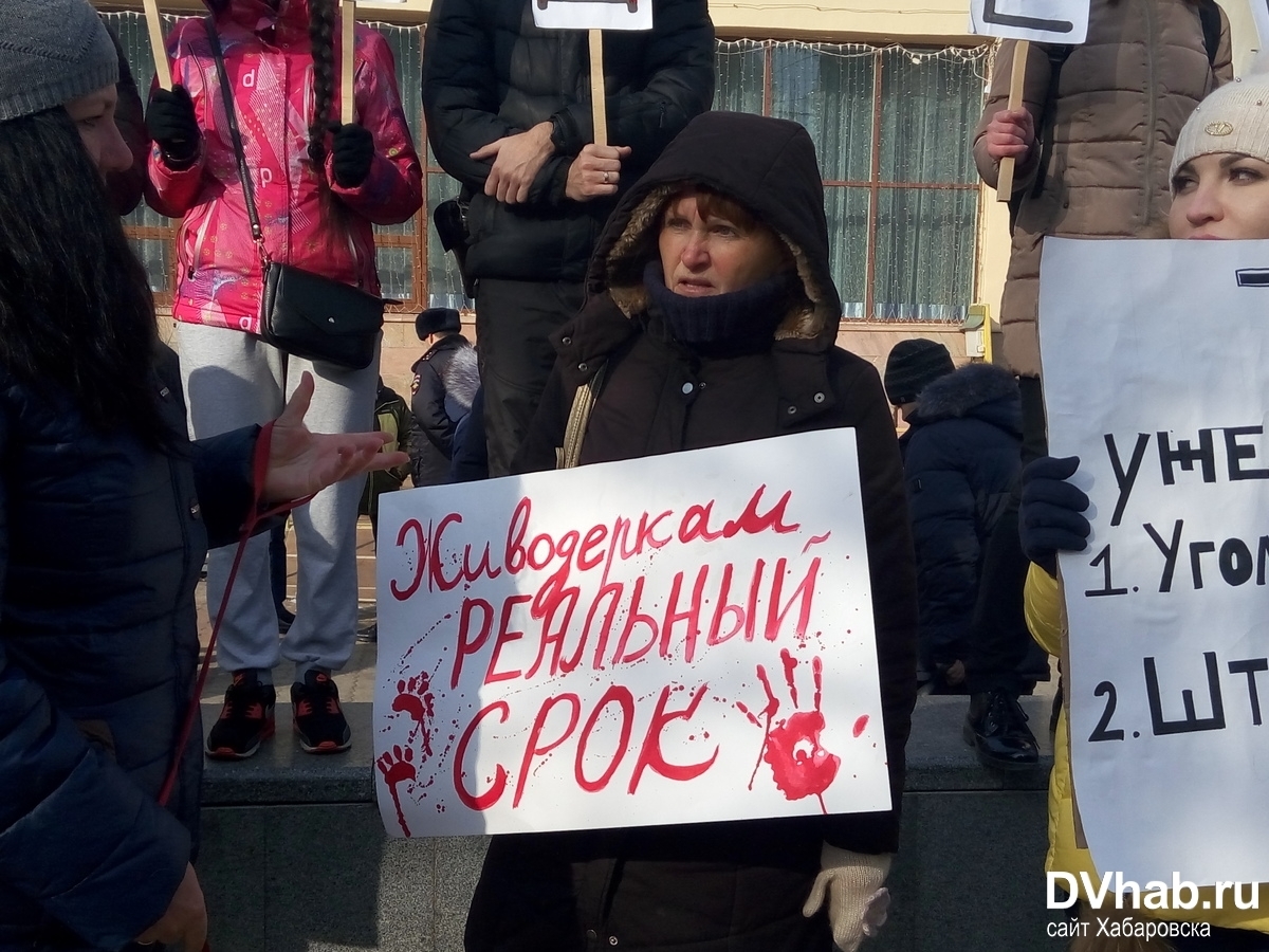 Против живодеров. Митинги против живодеров. Митинги против хабаровских живодерок. Плакаты против живодеров. Митинг против живодерство в России.