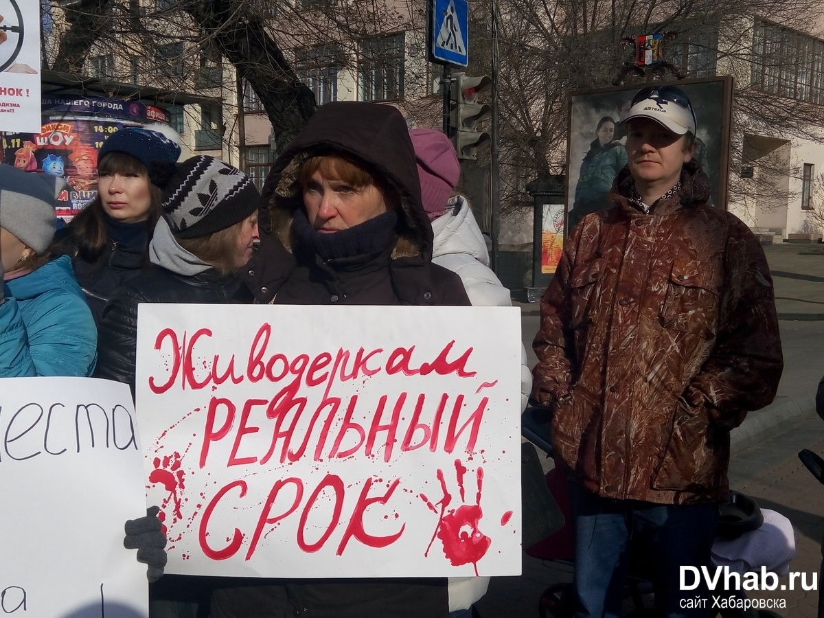 Против живодеров. Митинги против хабаровских живодерок. Петиция против живодёрства. Петиция против живодеров. Митинг против живодерство в России.