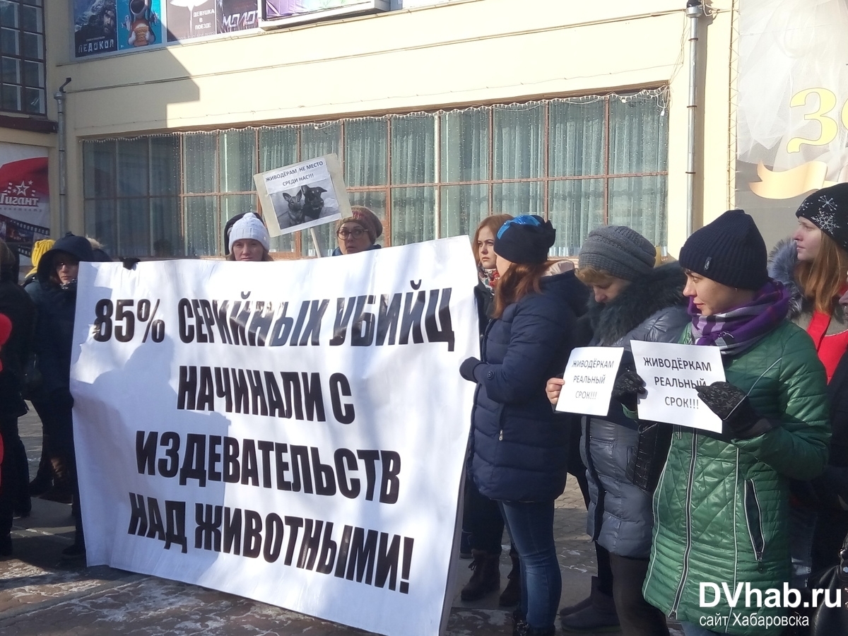 Против живодеров. Митинги против живодеров. Пикет живодеры. Митинг против живодерство в России. Митинги в защиту коров.