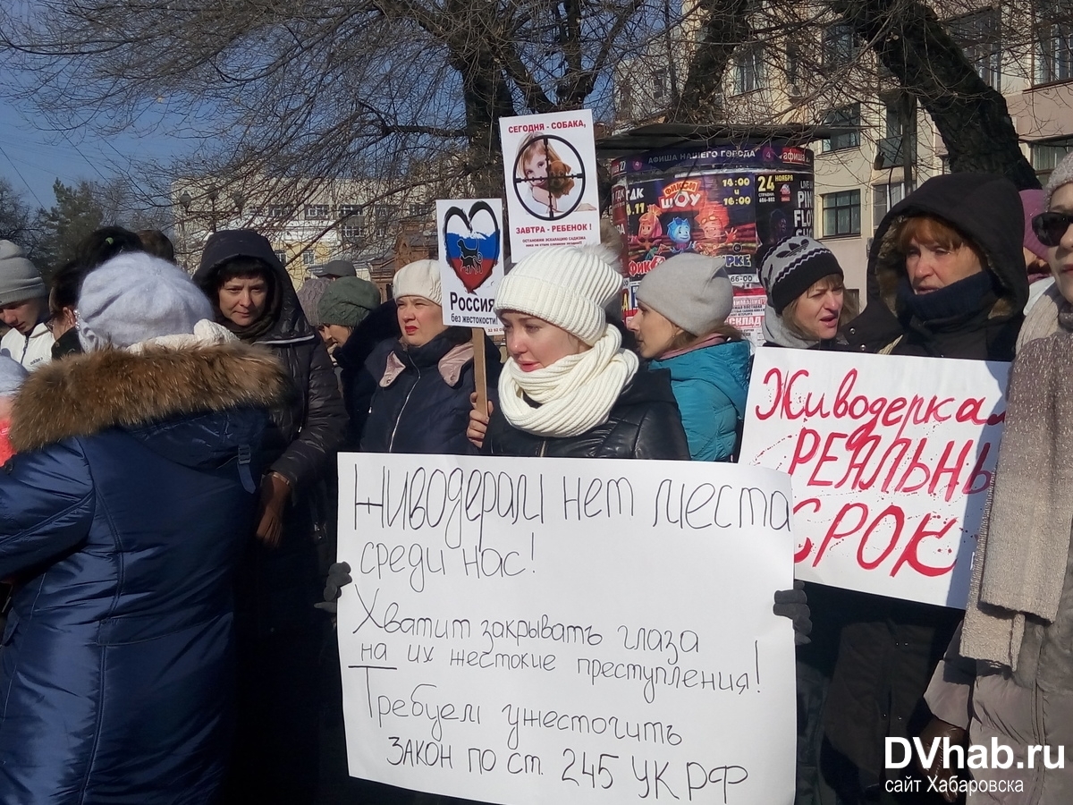 Против живодеров. Митинги против живодеров. Лозунги против живодеров. Пикет живодеры. Митинги против хабаровских живодерок.