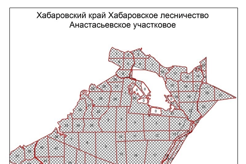 Карта лесных участков