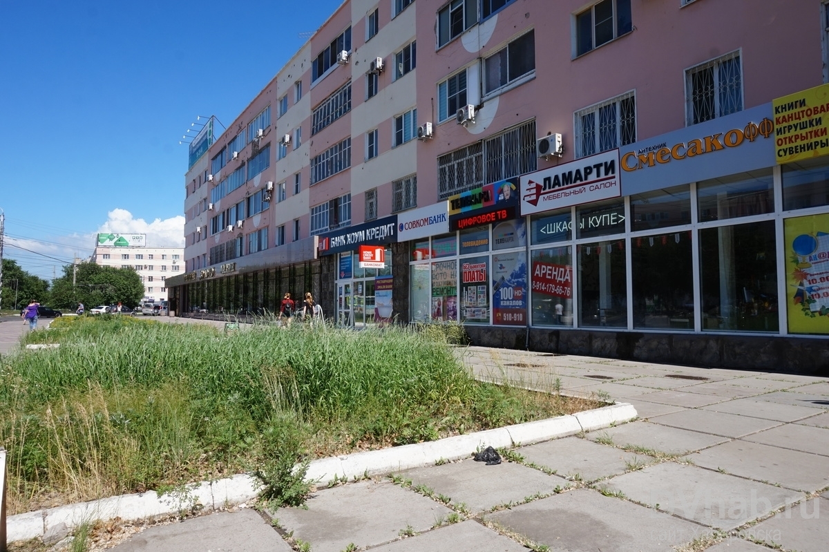 В центре Комсомольска-на-Амуре вместо цветов на клумбах цветет полынь  (ФОТО) — Новости Хабаровска