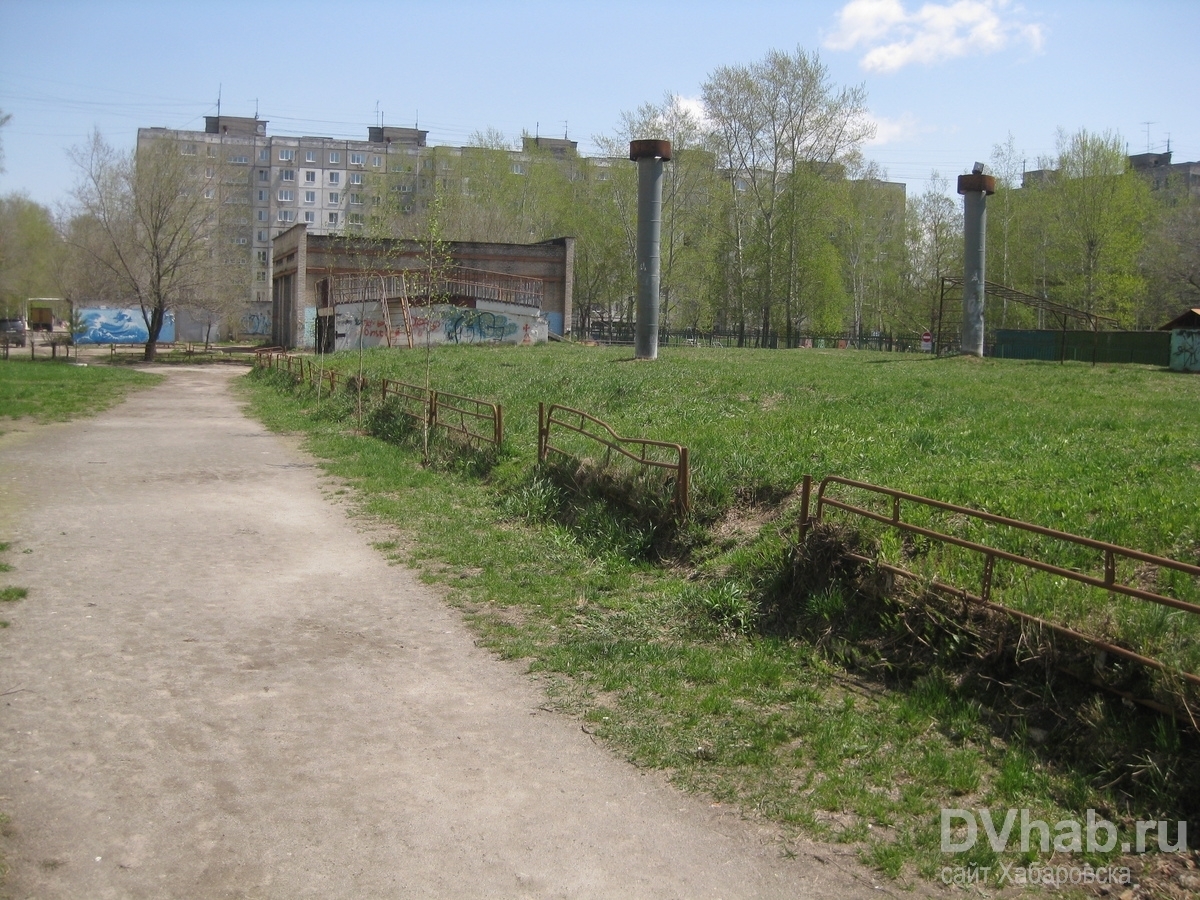 Арендаторы погреба на ул. Ворошилова спилили аллею, высаженную в честь  праздника Победы (ФОТО; ВИДЕО) — Новости Хабаровска