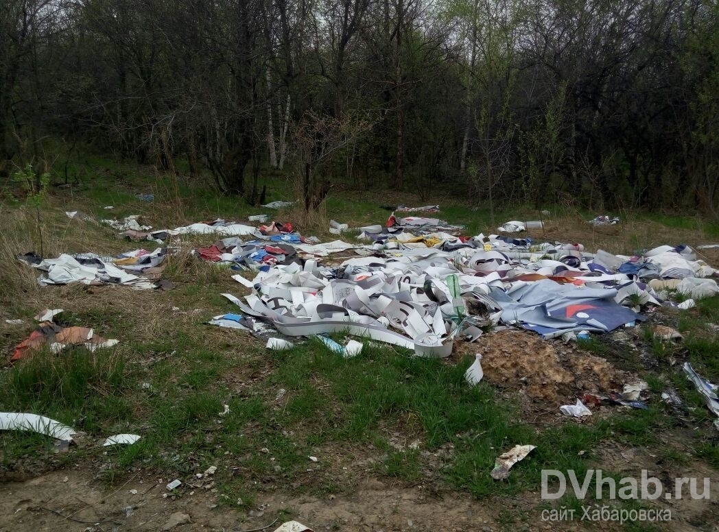 Одно из рекламных агентств Хабаровска использует питомник им. Лукашова как  свалку (ФОТО) — Новости Хабаровска