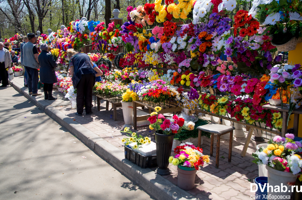 Цветы на кладбище спб