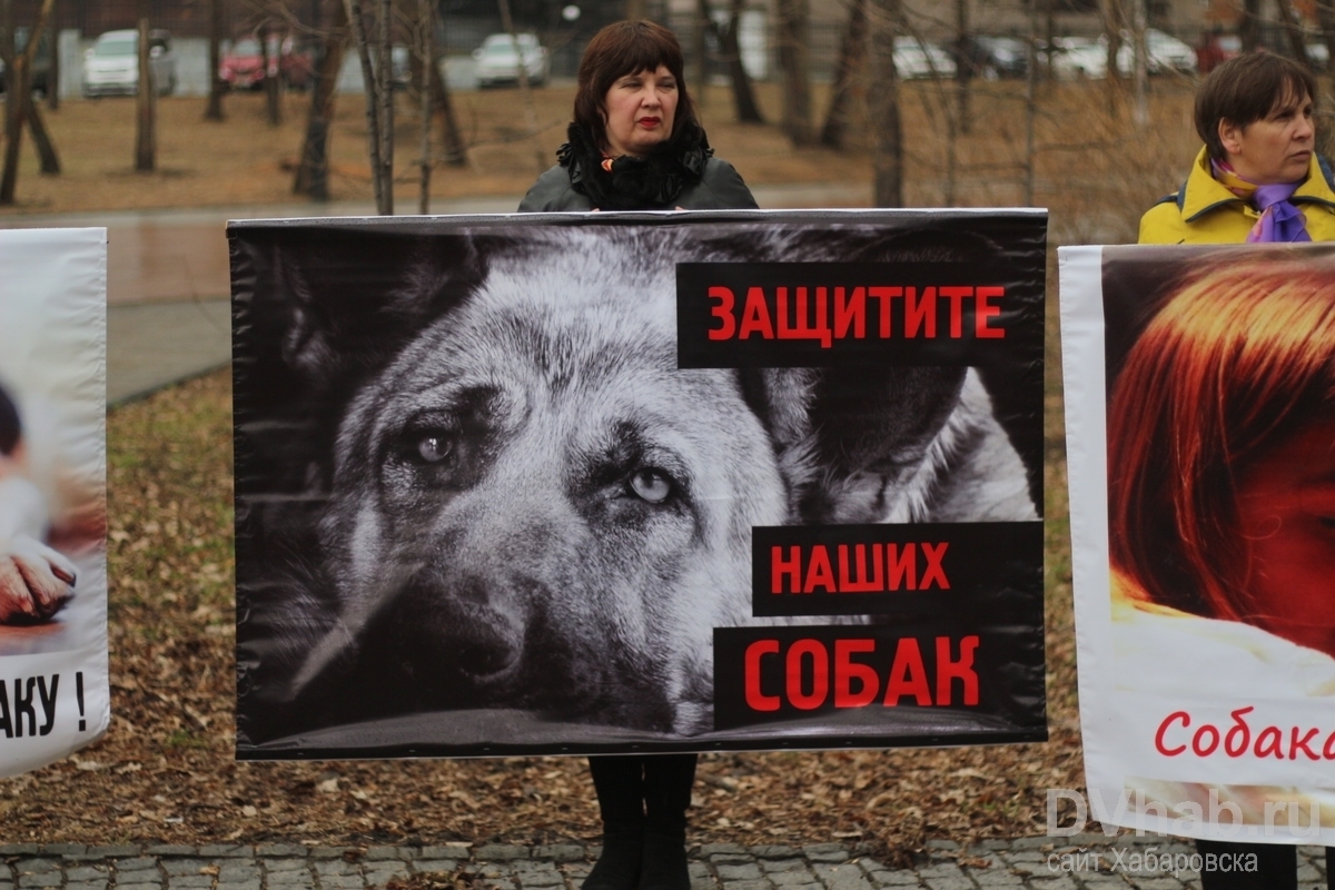 Против живодеров. Живодерам нет.