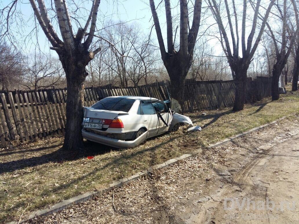 Сообщение в WhatsApp: Пьяный хабаровчанин разбил свое авто, врезавшись в  дерево (ФОТО) — Новости Хабаровска