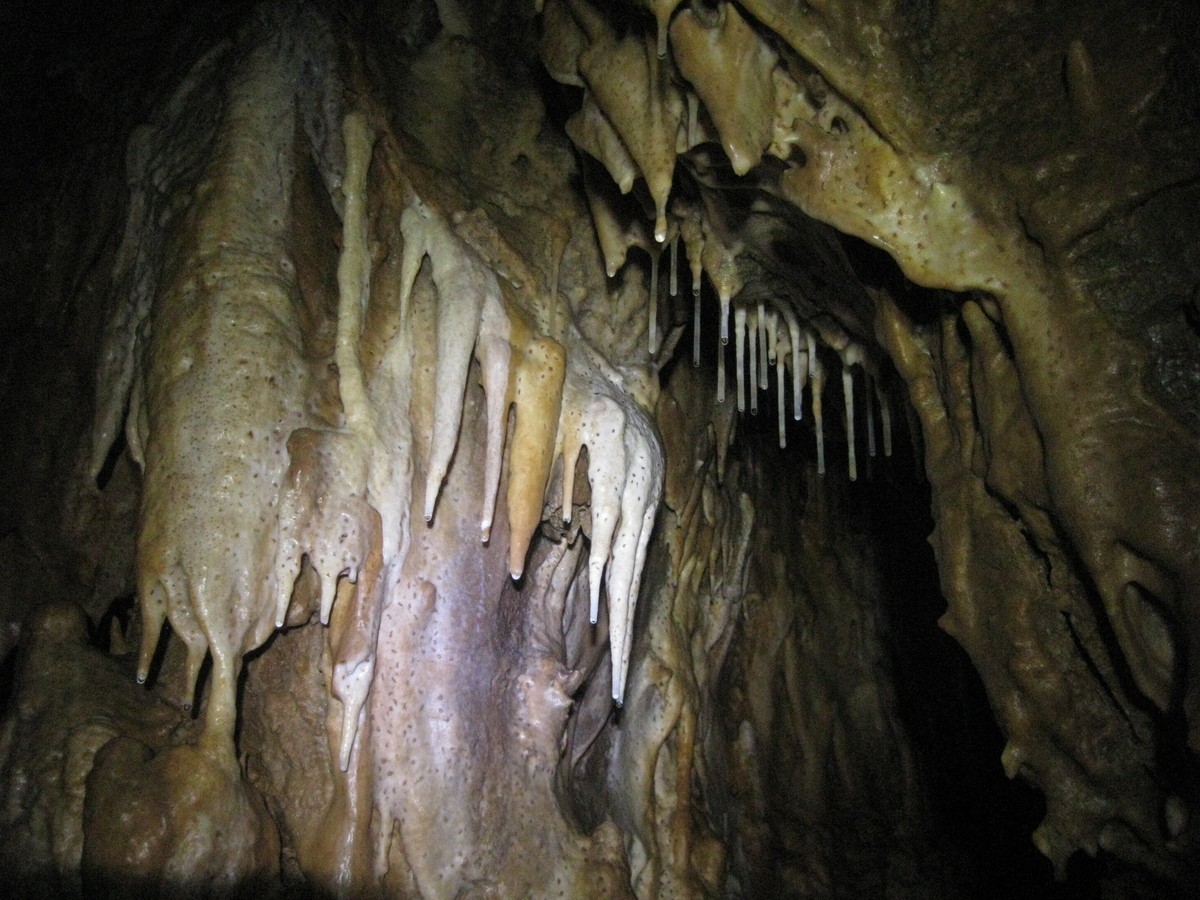 Мечта спелеолога чандалаз. Мокрушинская пещера на карте. Соляник пещера глубина. Канализационный спелеолог. Российская пещера пермский.