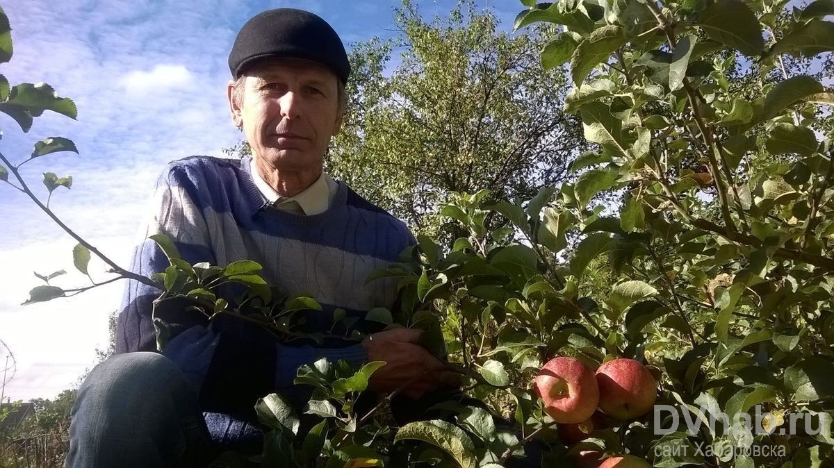 Сорт академик. Александр Сидельников Садовод опытник. Алексей Болоняев селекционер-Плодовод Хабаровск. Владимир Александрович Шереметьев Садовод-опытник Нижний Новгород. Абрикос Петр комаров описание сорта фото отзывы.