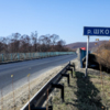 Река Шкотовка — newsvl.ru