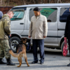 Собаки умеют обыскивать и ручную кладь — newsvl.ru